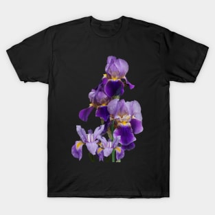 Irises Flower Plant Gardening Gardener Tennessee T-Shirt